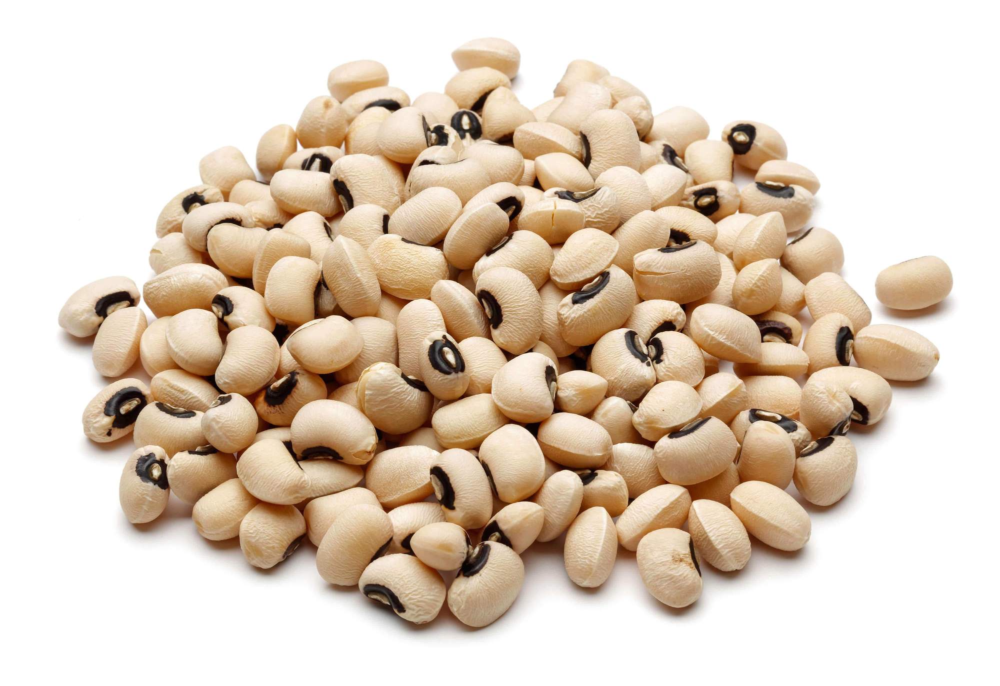 خرید عمده لوبیا چشم بلبلی