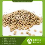 عدس ریز کانادایی