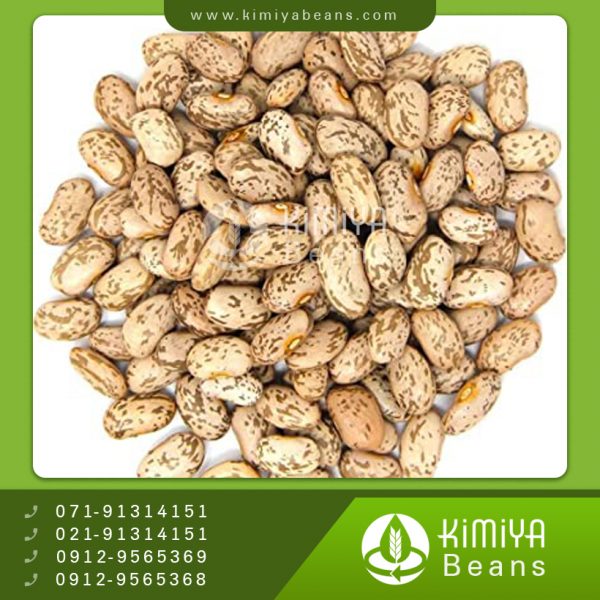 لوبیا چیتی اتیوپی