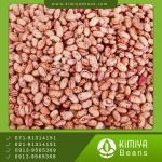 لوبیا چیتی آفریقا