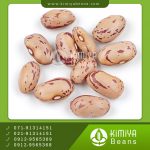 لوبیا چیتی بوجار