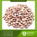 لوبیا چیتی دستچین