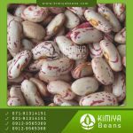 لوبیا چیتی چین