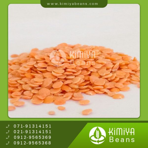 دال عدس کانادایی