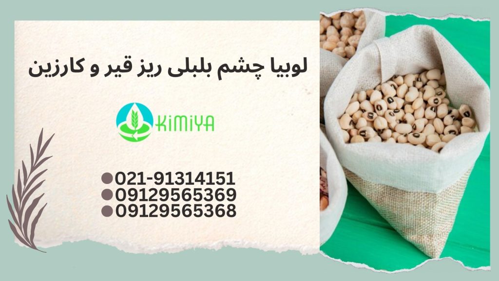 لوبیا چشم بلبلی ریز قیر و کارزین