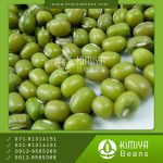 خرید عمده ماش برزیل