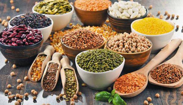 خرید عمده انواع عدس کانادایی