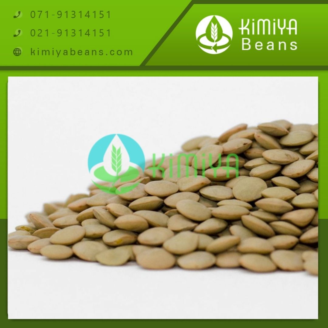 خرید عمده انواع عدس کانادایی