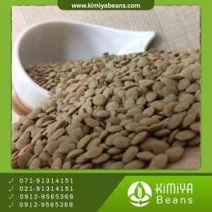 عدس درشت کانادایی AGT