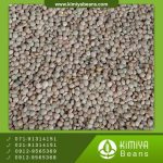 عدس ریز کانادایی AGT