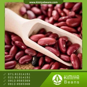 لوبیا قرمز بوجار اراک