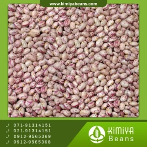 لوبیا چیتی بوجار اراک