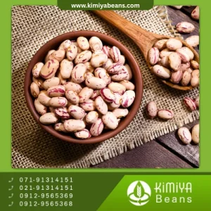 لوبیا چیتی بوجار ازنا