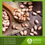 لوبیا چیتی بوجار اقلید