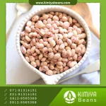 لوبیا چیتی بوجار زنجان