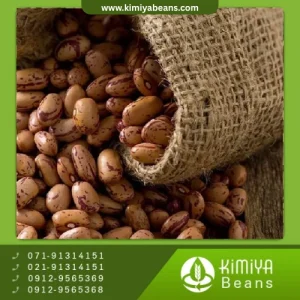 لوبیا چیتی بوجار شیراز