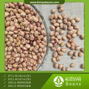 لوبیا چیتی بوجار همدان