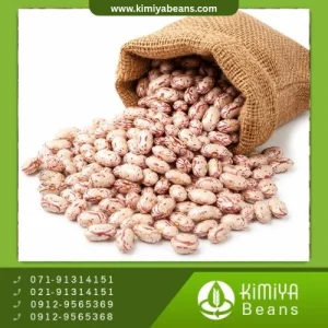 لوبیا چیتی خرمنی آذرشهر