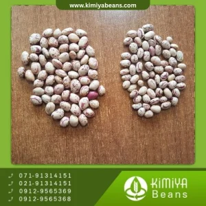 لوبیا چیتی خرمنی اراک
