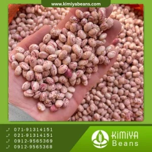 لوبیا چیتی خرمنی ازنا