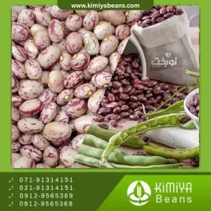 لوبیا چیتی خرمنی اقلید