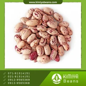 لوبیا چیتی خرمنی زنجان
