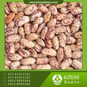 لوبیا چیتی خرمنی همدان