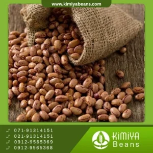 لوبیا چیتی دستچین اراک