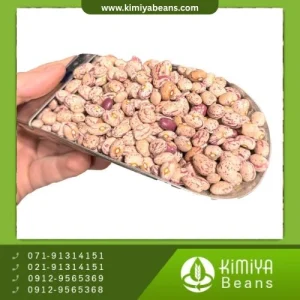 لوبیا چیتی دستچین شیراز