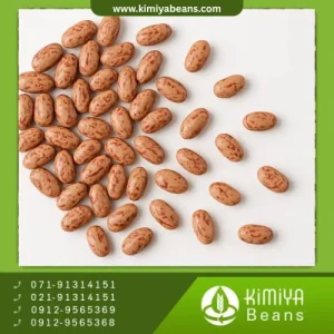 لوبیا چیتی دستچین همدان