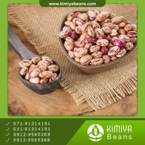 لوبیا چیتی مصر